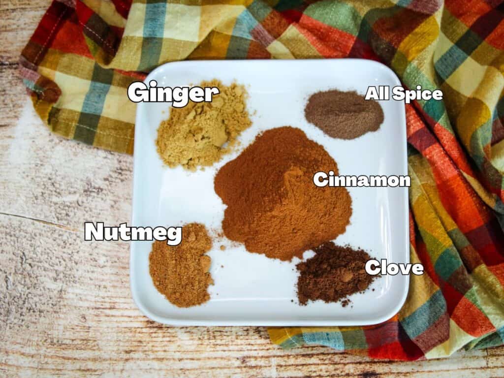 Overhead view of ground cinnamon, ginger, nutmeg, allspice, and cloves displayed on a white plate with each spice labeled, placed on a wooden surface with a plaid cloth in the background