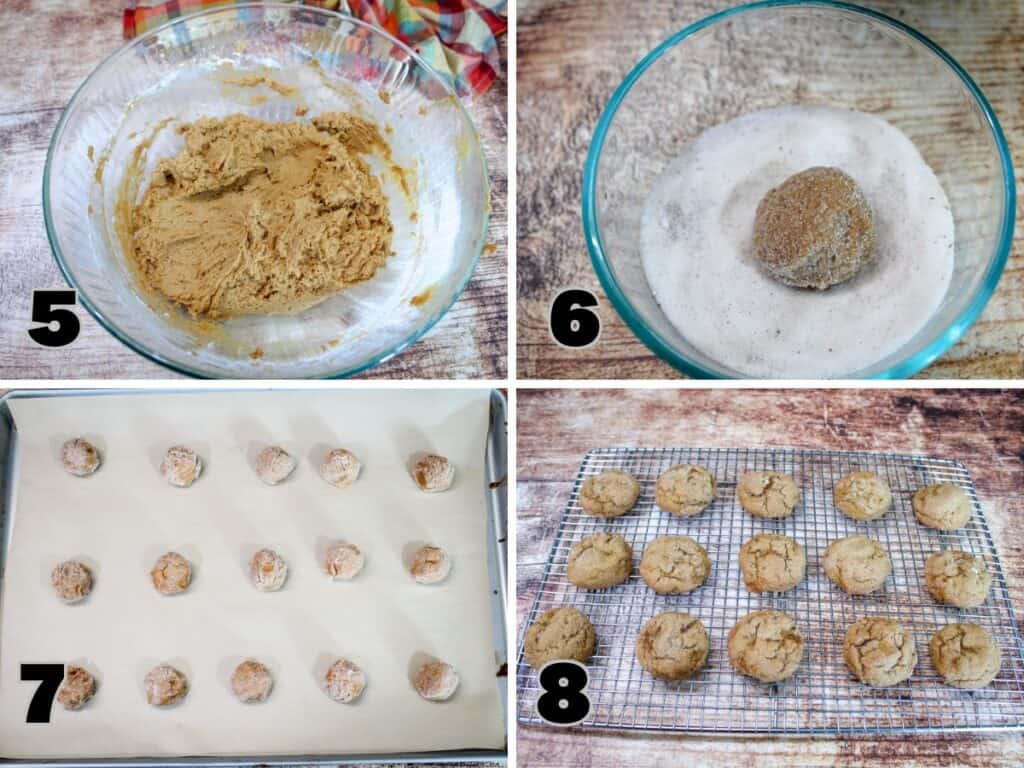 Pumpkin molasses cookie dough, rolling dough balls in sugar, placing on a baking sheet, and freshly baked cookies cooling on a wire rack