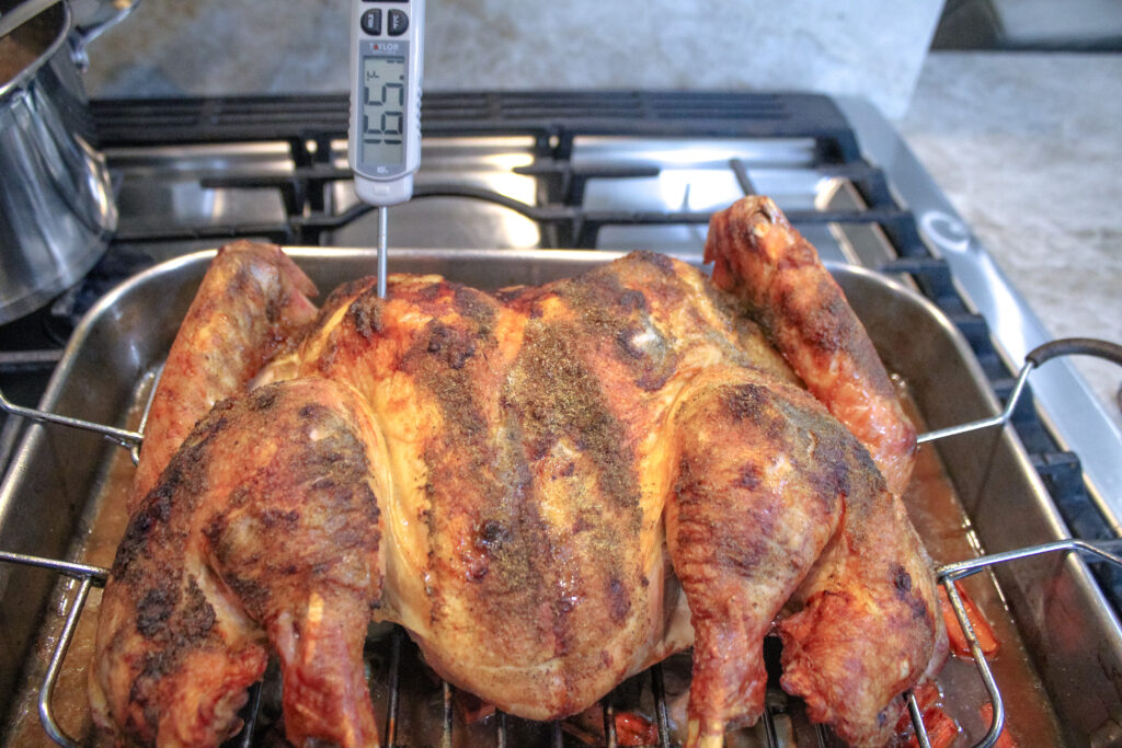 Roasted spatchcock turkey in a pan with a meat thermometer showing the breast temperature at 165 degrees